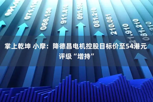 掌上乾坤 小摩：降德昌电机控股目标价至54港元 评级“增持”