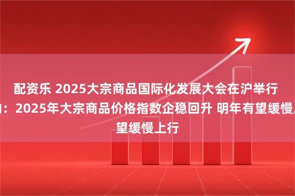 配资乐 2025大宗商品国际化发展大会在沪举行 业内:2025年大宗商品价格指数企稳回升 明年有望缓慢上行